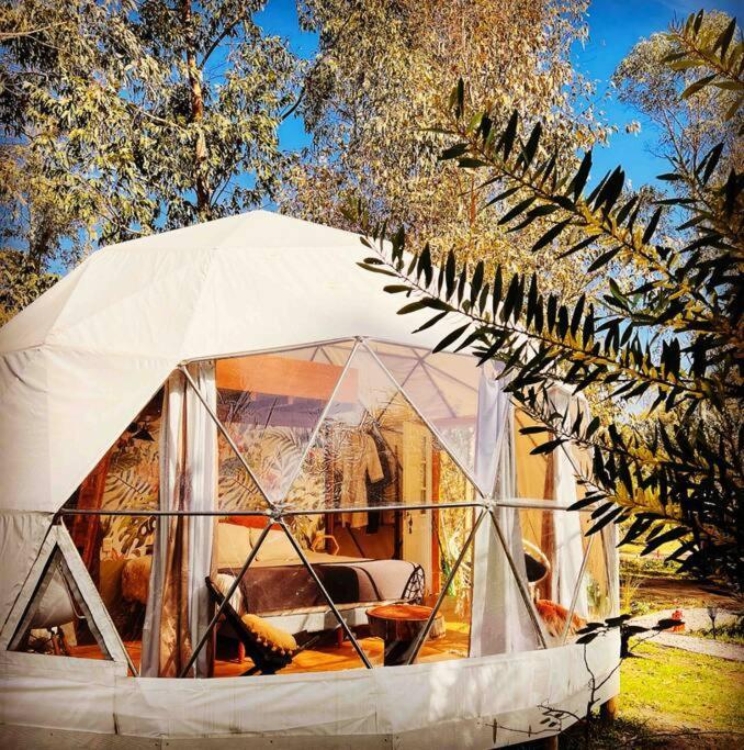 Magia Ecolodges, Glamping Punta Colorada Exterior foto